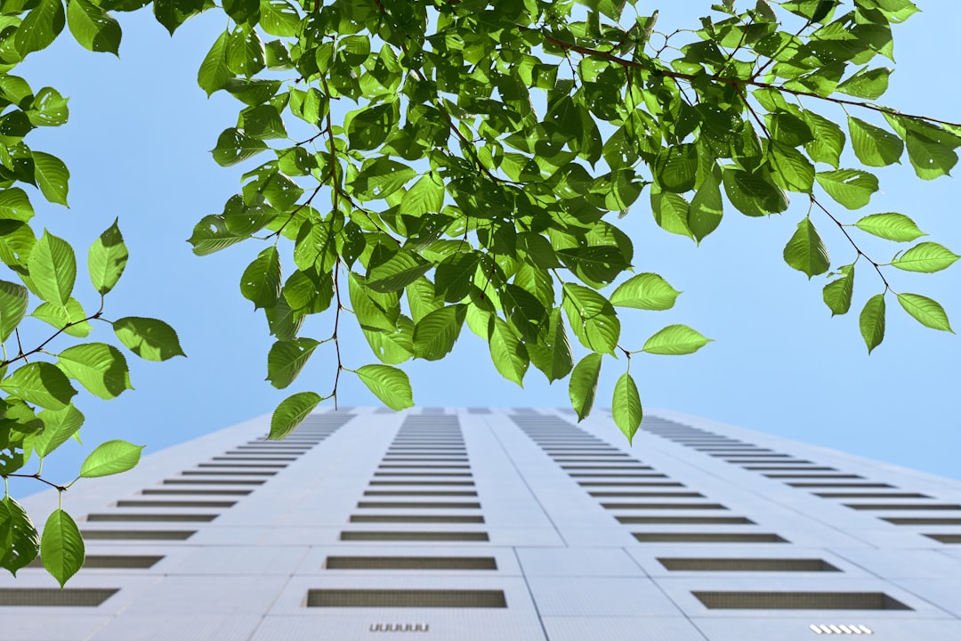 Zielone certyfikaty budynków: klucz do zrównoważonej architektury
